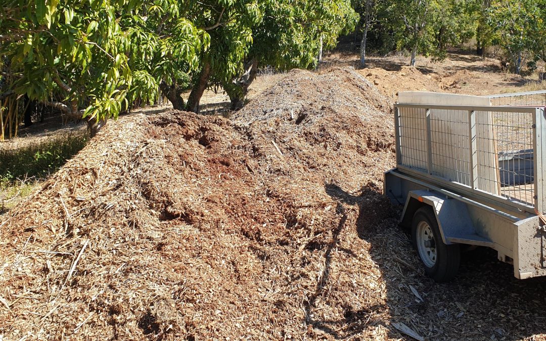 Heavy Mulching Continues – 21st August 2019