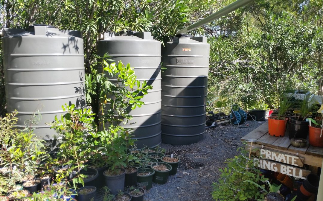 Shed-level Water Tanks