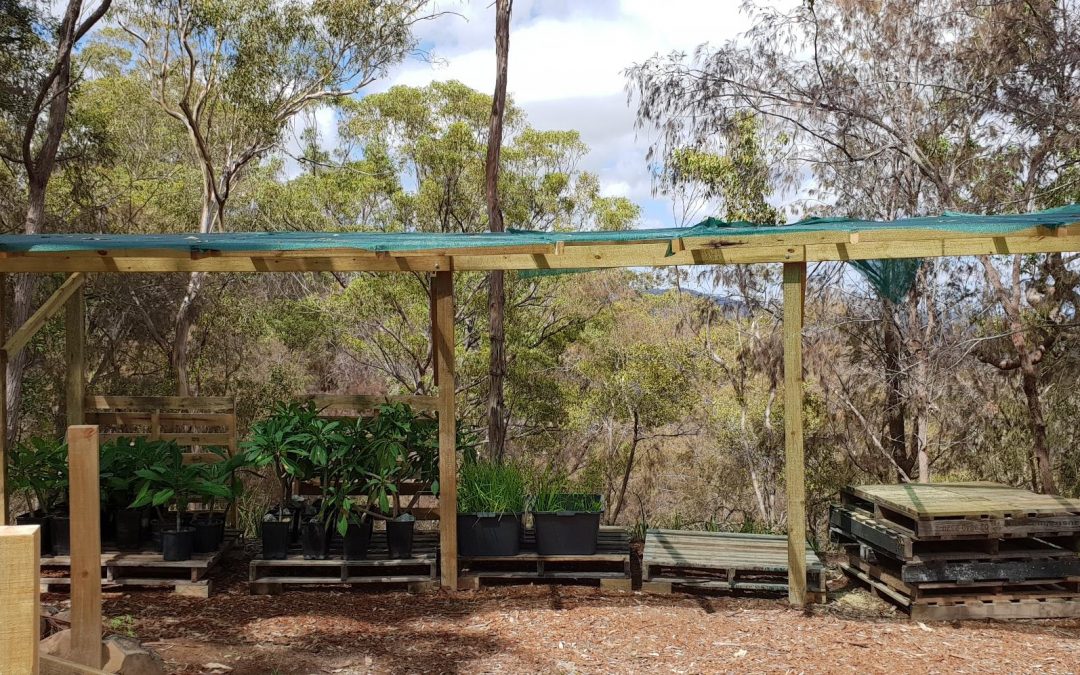 Tidying up the Shade Cloth – 9th March 2019